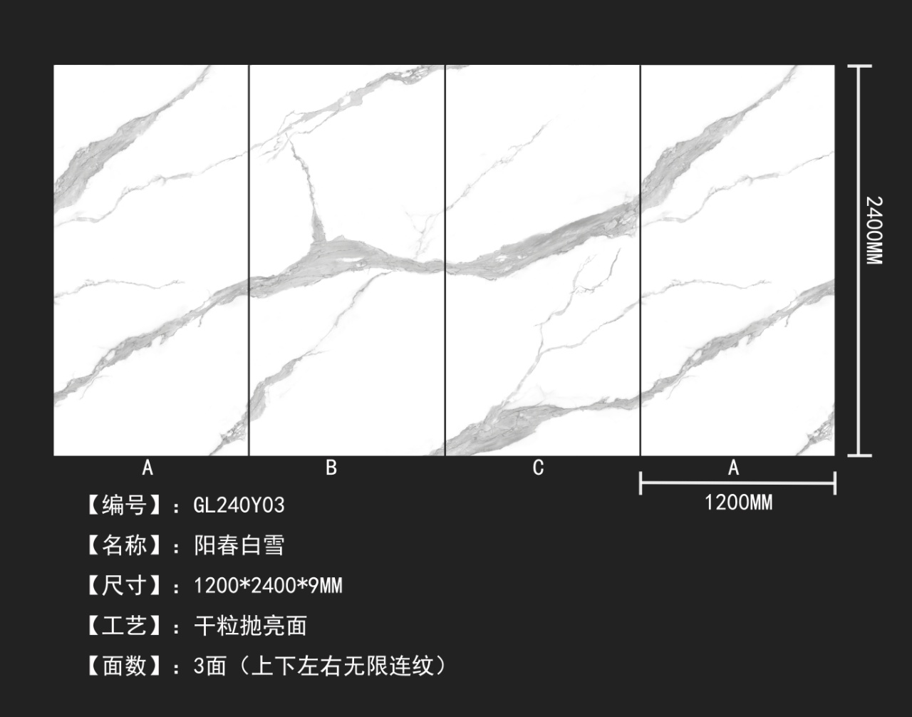 GL240Y03.jpg